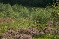 IMG_8805