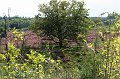 IMG_8809