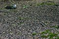 IMG_8815