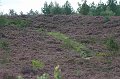 IMG_8825