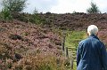IMG_8827