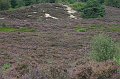 IMG_8828