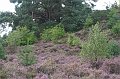 IMG_8835