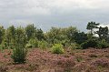 IMG_8836