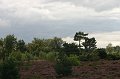 IMG_8837