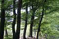 IMG_8843